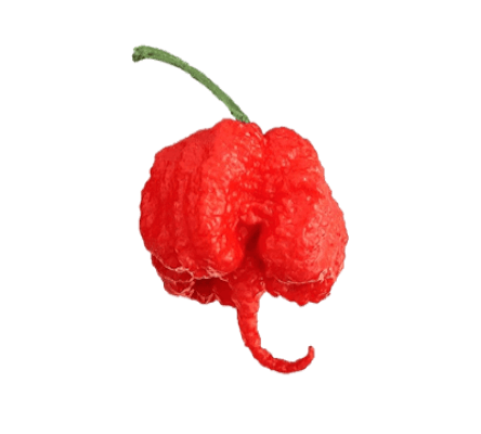 Carolina Reaper