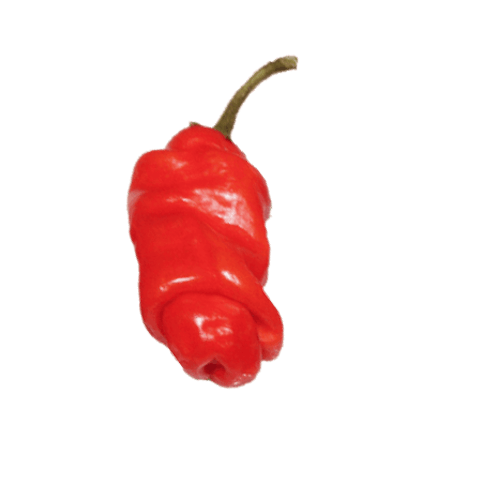 Peter Pepper