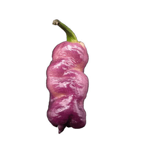 Reaper Pink Peach