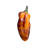 Sunset Pepper